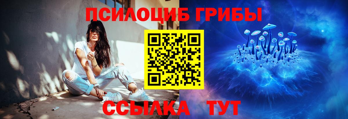 Псилоцибиновые грибы Cubensis  Псилоцибиновые грибы Psilocybine cubensis  Острогожск  Вход с VPN 