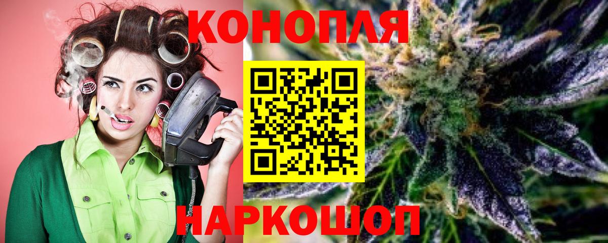 Шишки марихуана конопля Острогожск
